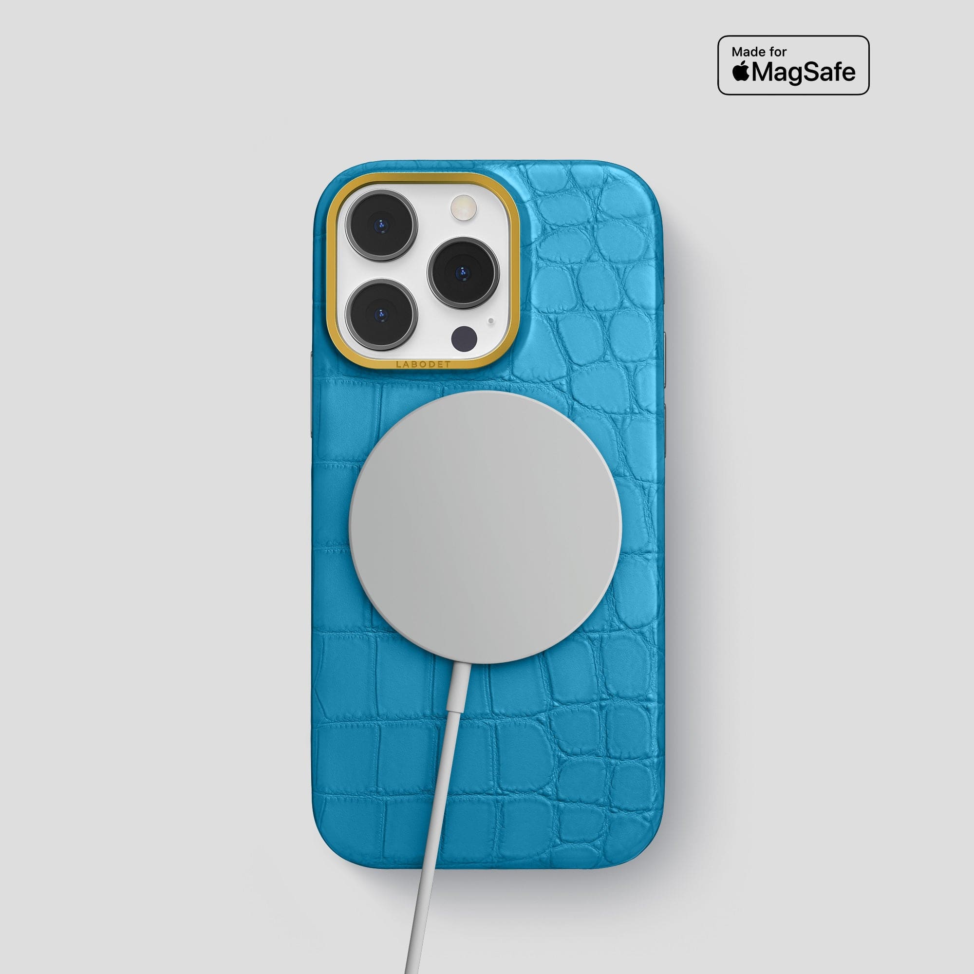 MagSafe Mask For iPhone 13 Pro In Alligator – Labodet